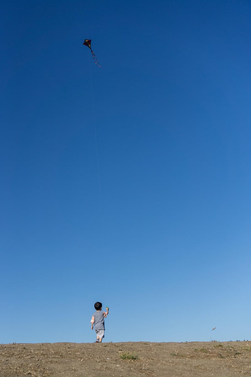 The Kite Runner